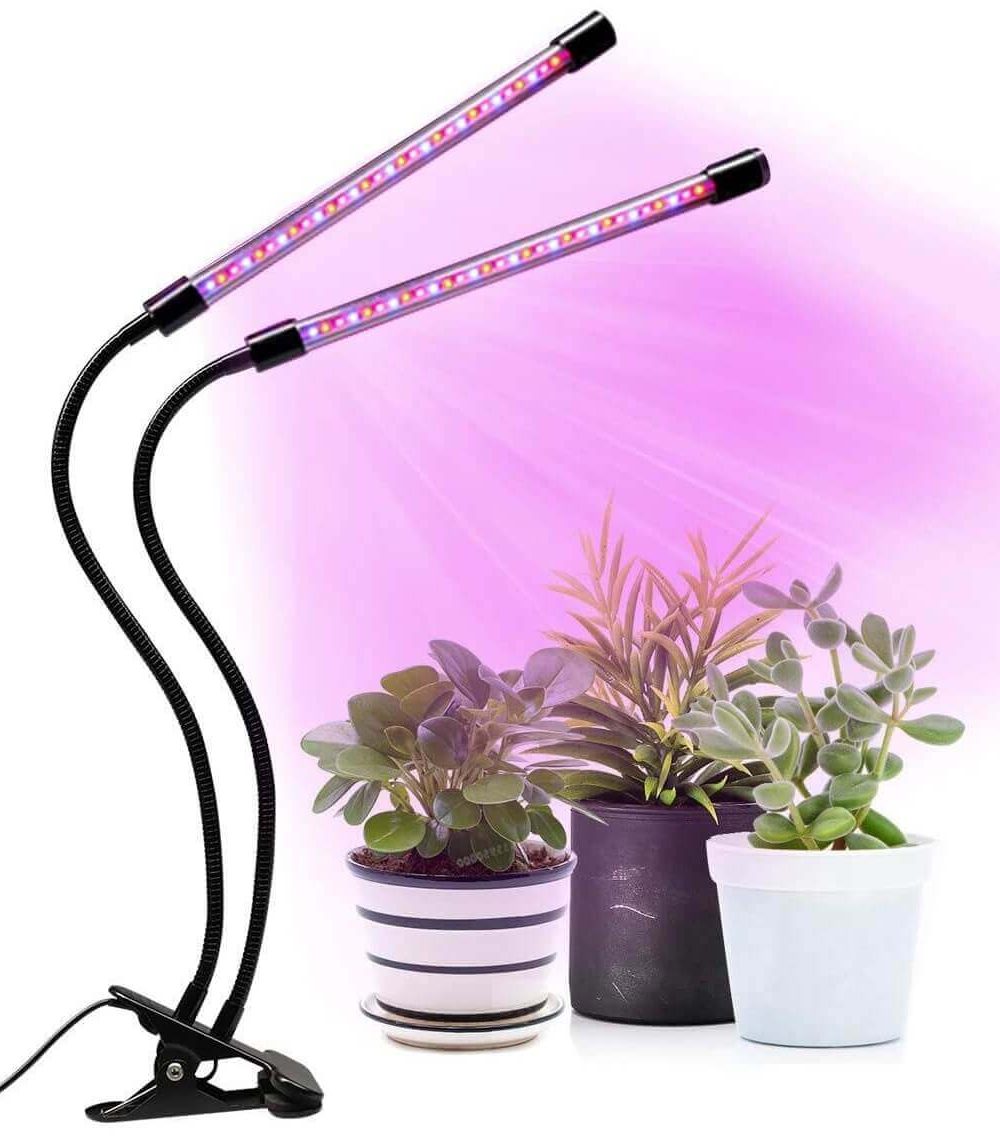 מנורה לגידול צמחים