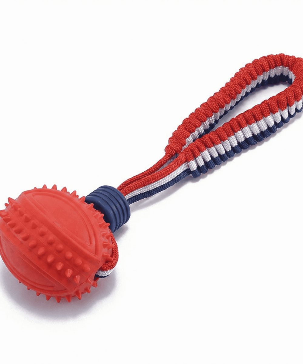 נשכן דנטלי עמיד בשילוב חבל אינטראקטיבי-PowerChew