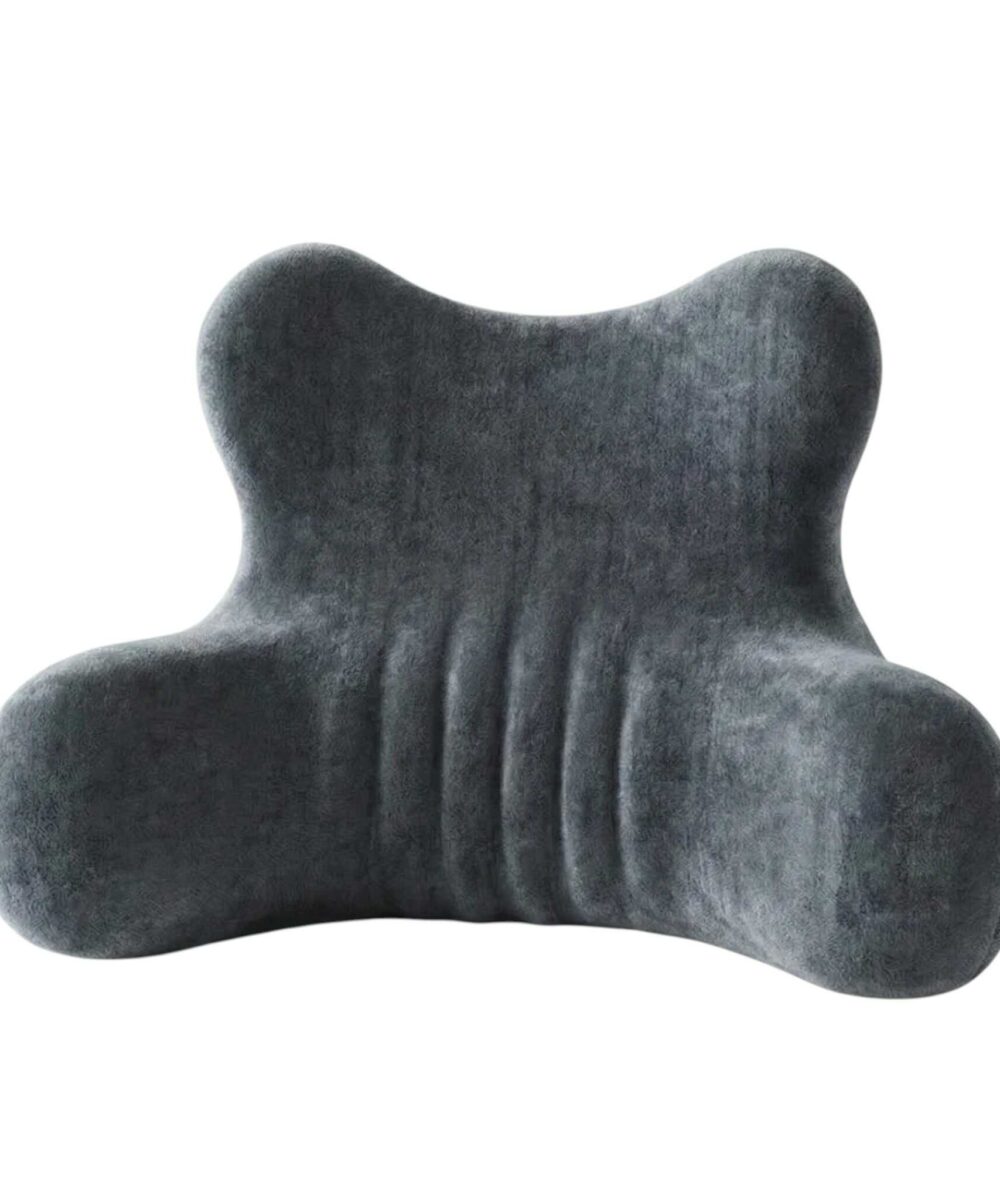 כרית גב אורטופדית ויסקו – HugMe